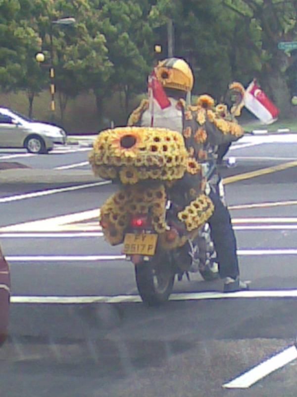 flowerbike.jpg