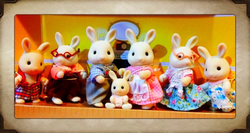 sylvanian families wildwood rabbits