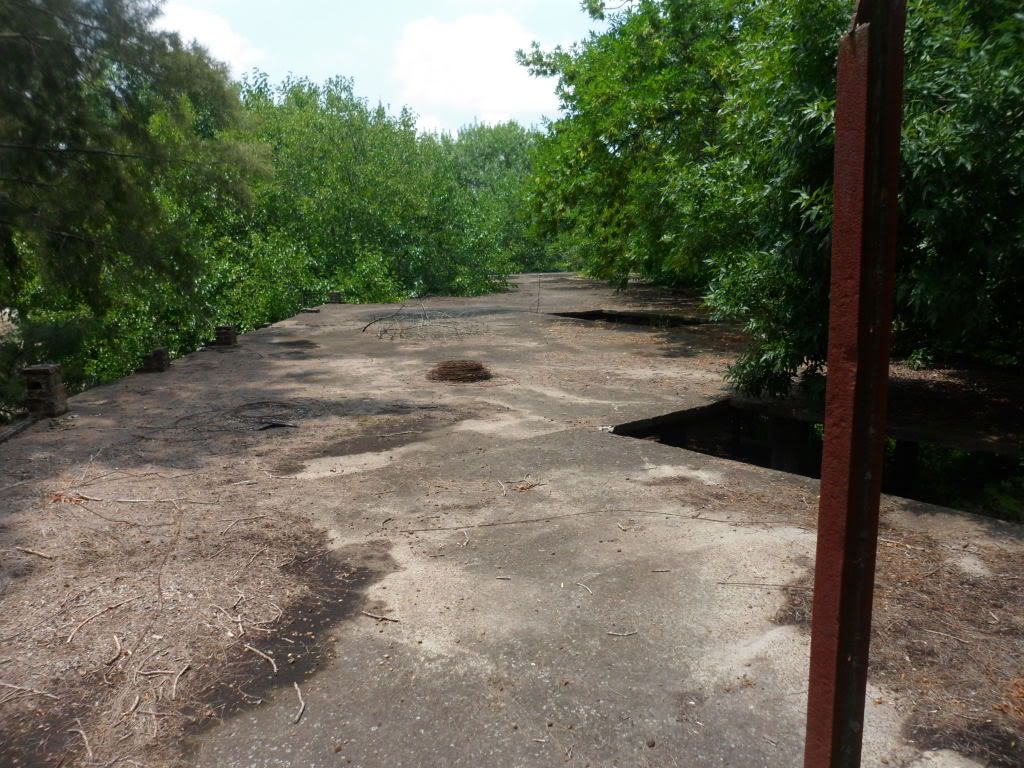 abandono abandono