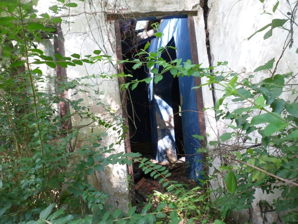 abandono en el delta abandono en el delta