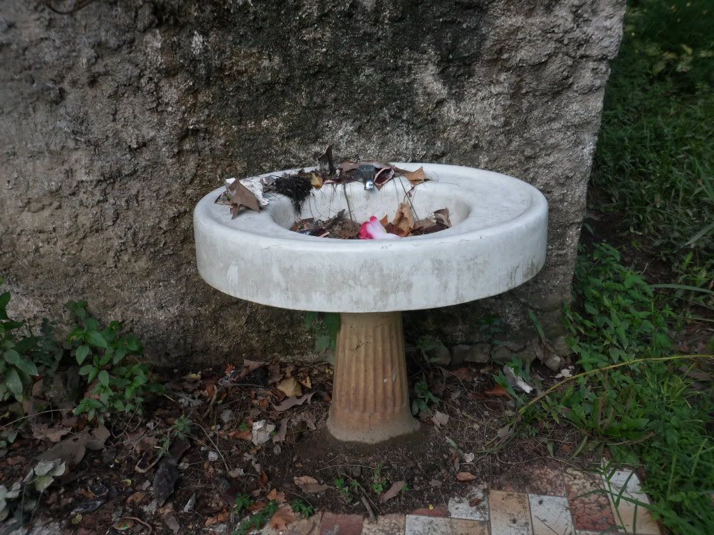 camping abandonado camping abandonado