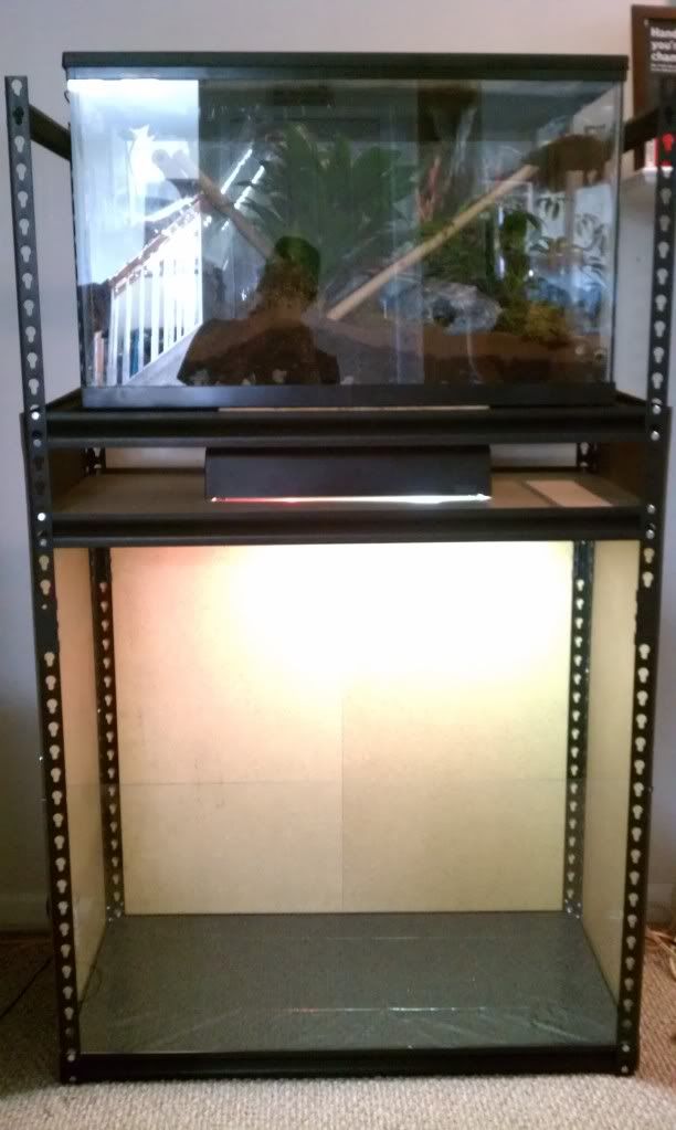 Vivarium terrarium shelf build