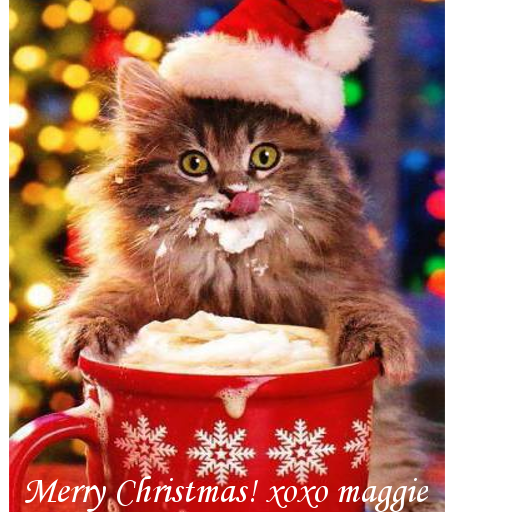  photo christmascat6_zps80a65681.png