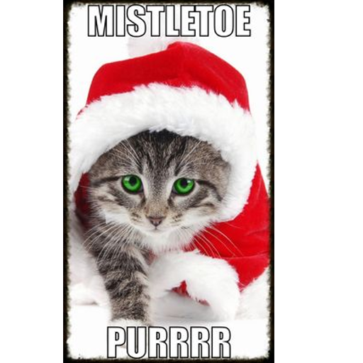  photo christmascat_zps1a872a1b.png