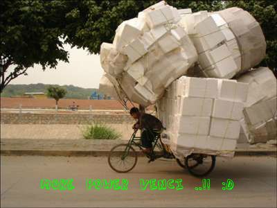 funny-picture-20-1.jpg