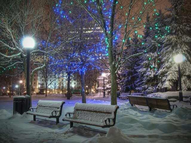 wintersnow Pictures, Images and Photos