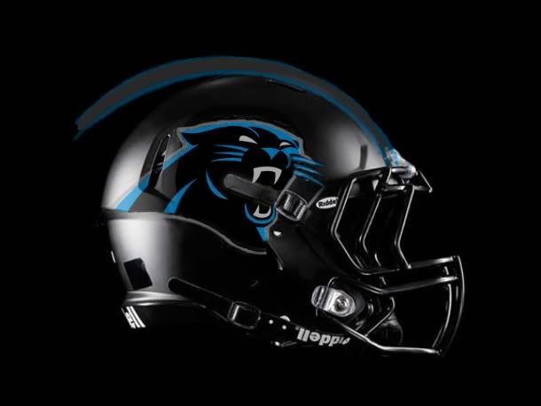 Panthers-helmet6.jpg